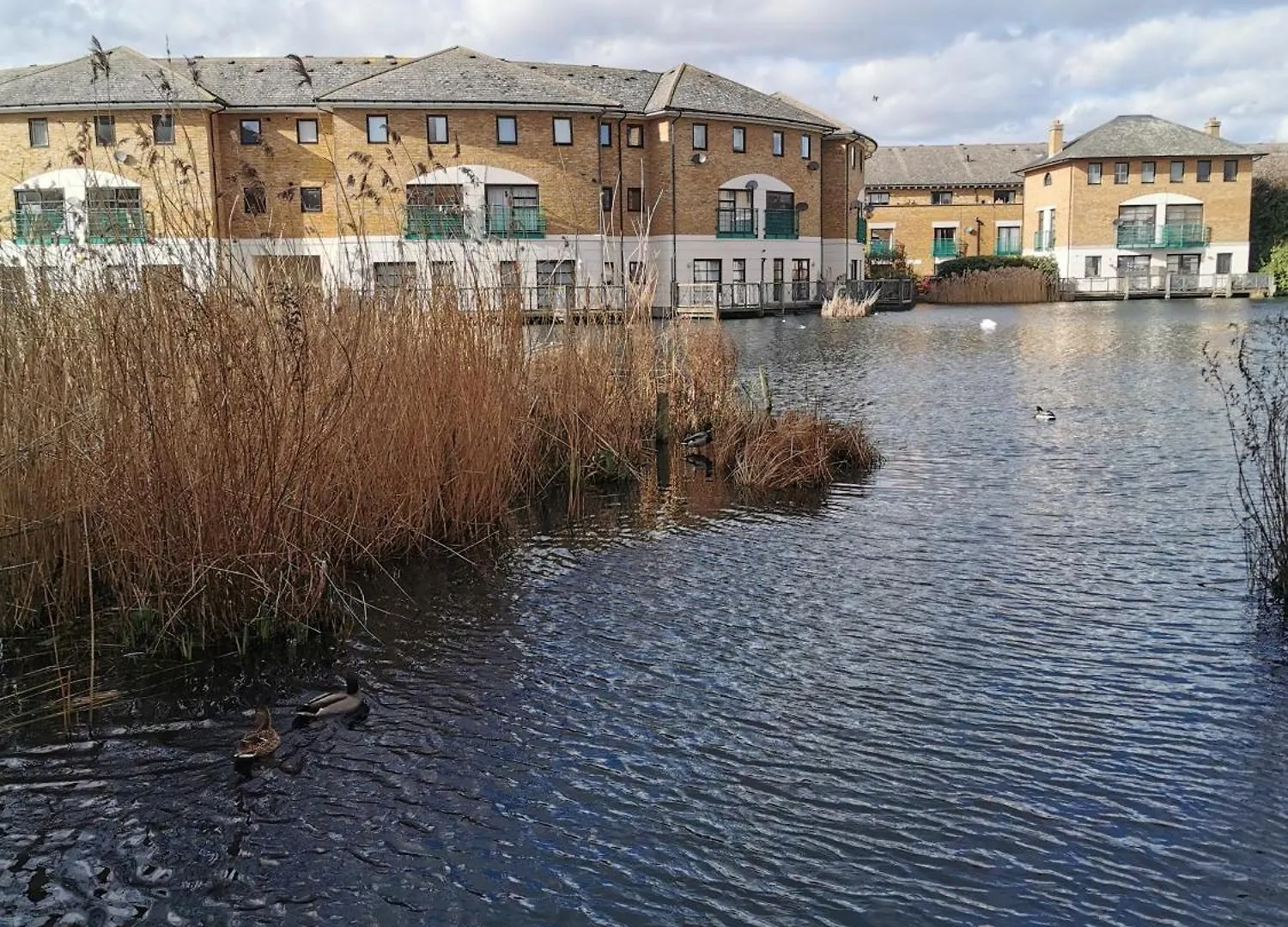 Riverside 1Br With Easy Transport 20Min To City Centre London Apartment